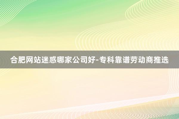 合肥网站迷惑哪家公司好-专科靠谱劳动商推选