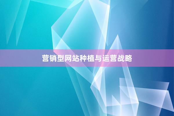 营销型网站种植与运营战略