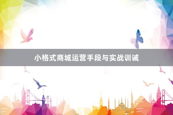 小格式商城运营手段与实战训诫